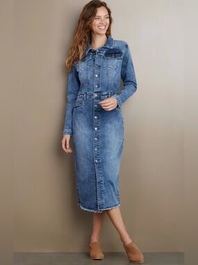 Wash Lab Piece Dyed Denim Stretch Dress Long Sleeve Blue Midi Size Small